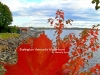 BTV Waterfront Foliage 2014 by Heavenly Ryan