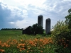 New Haven Barn Silos 2013 by Heavenly Ryan