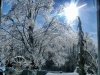Swanton Christmas 2013 by Heavenly Ryan
